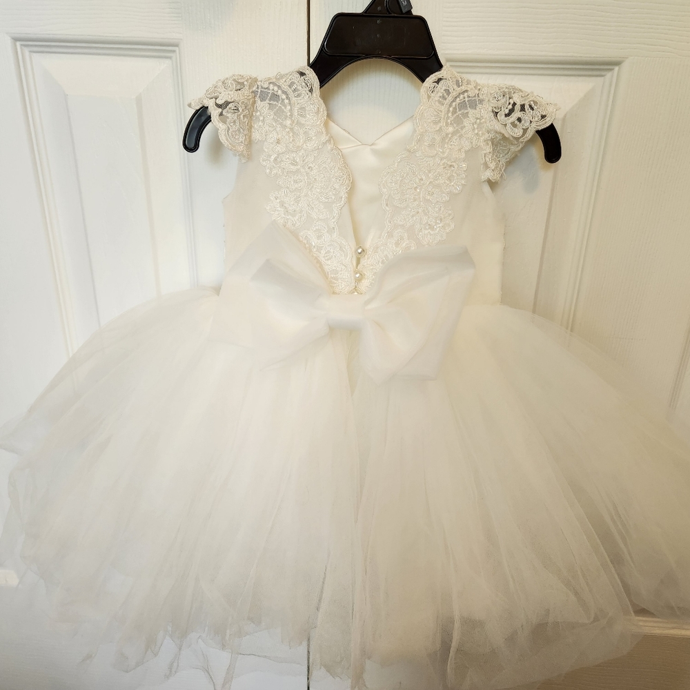 Light Ivory beaded Lace bodice with tulle dress